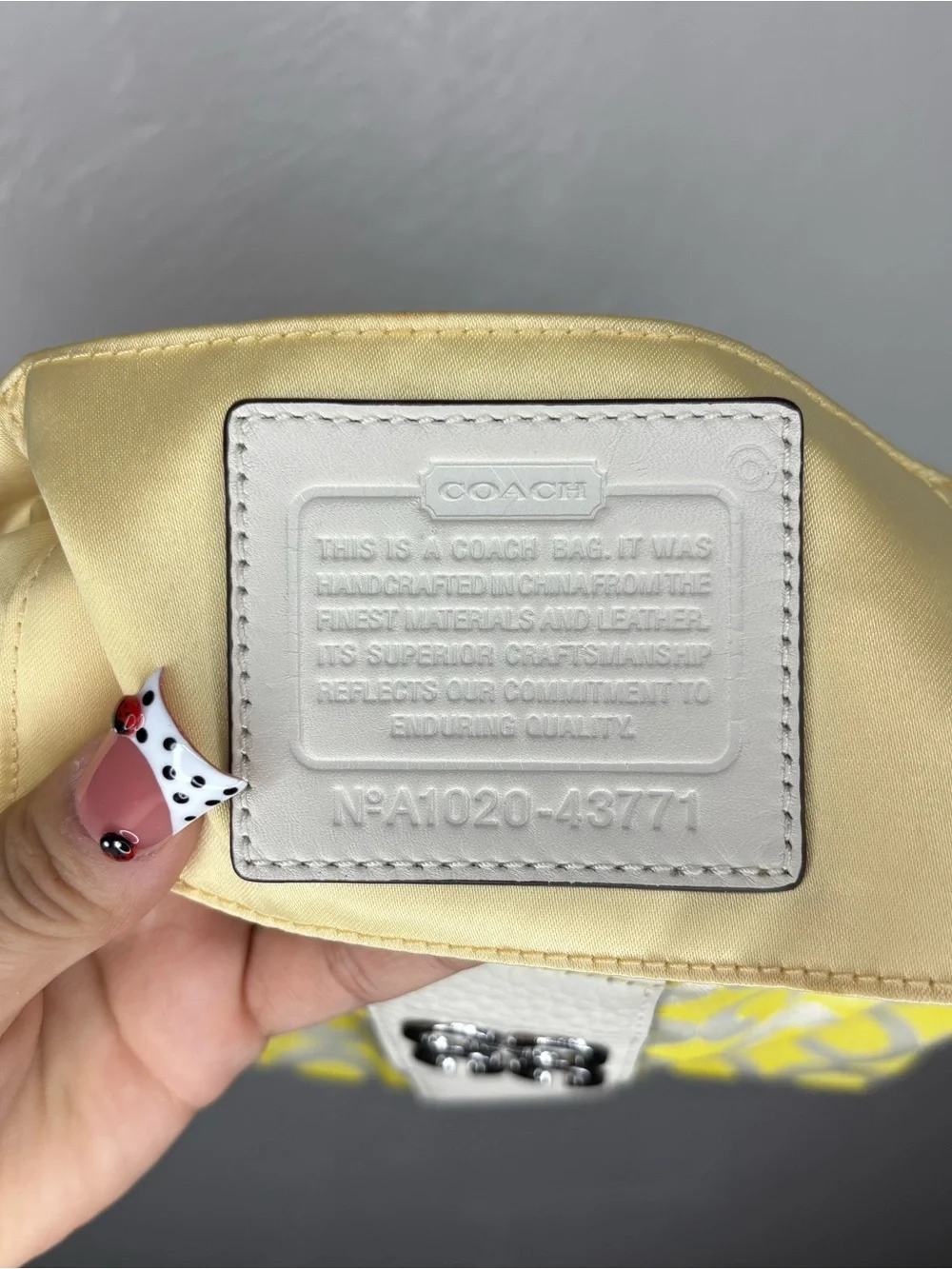RAREEE Coach Julia Outline Op Art small shoulder bag  💛🤍